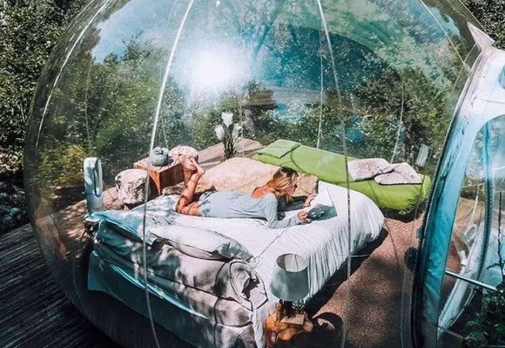 bubble tree tent buy